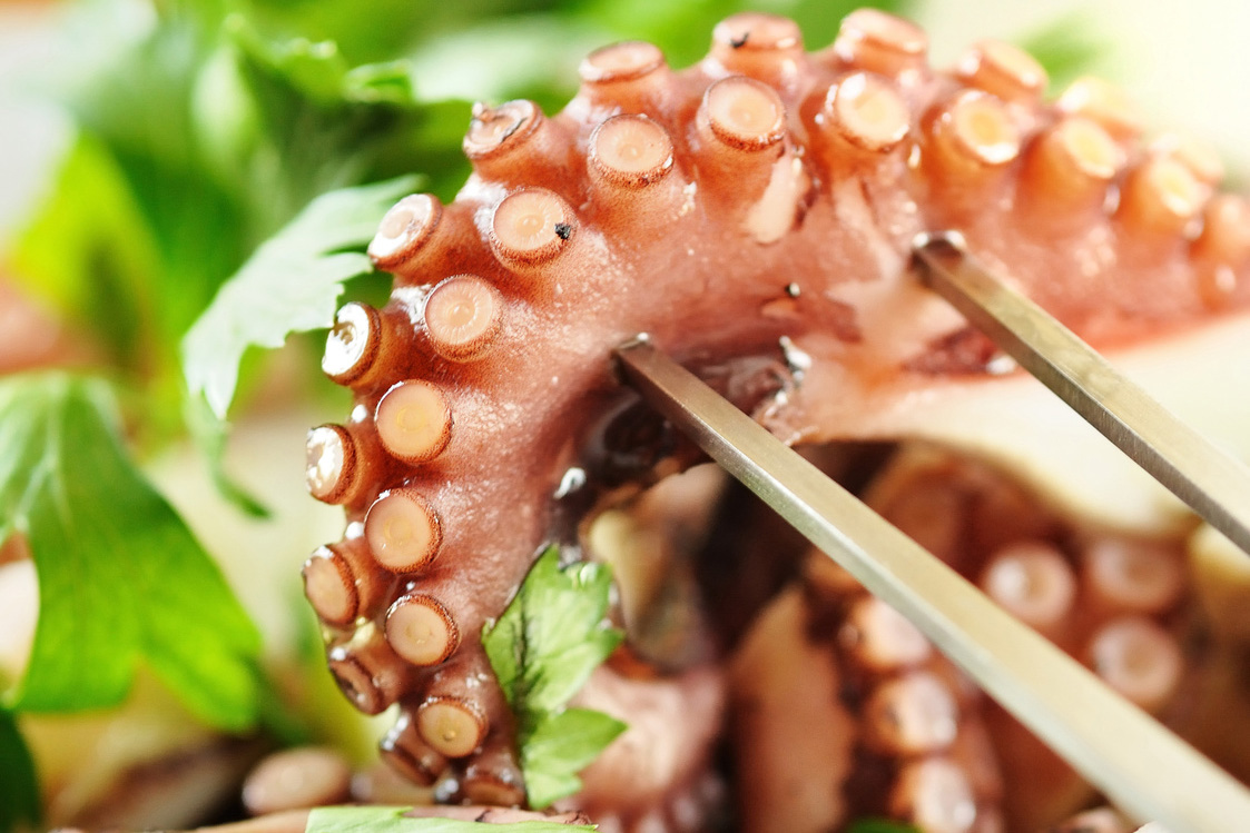 Ganzen Octopus online kaufen | Kälteisolierte Expresslieferung
