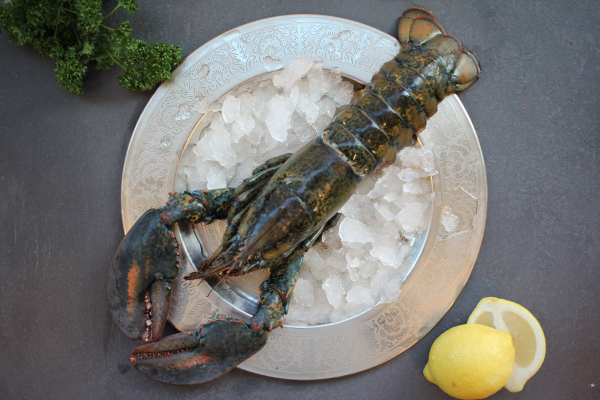 Hummer online kaufen Jetzt bei send a fish bestellen