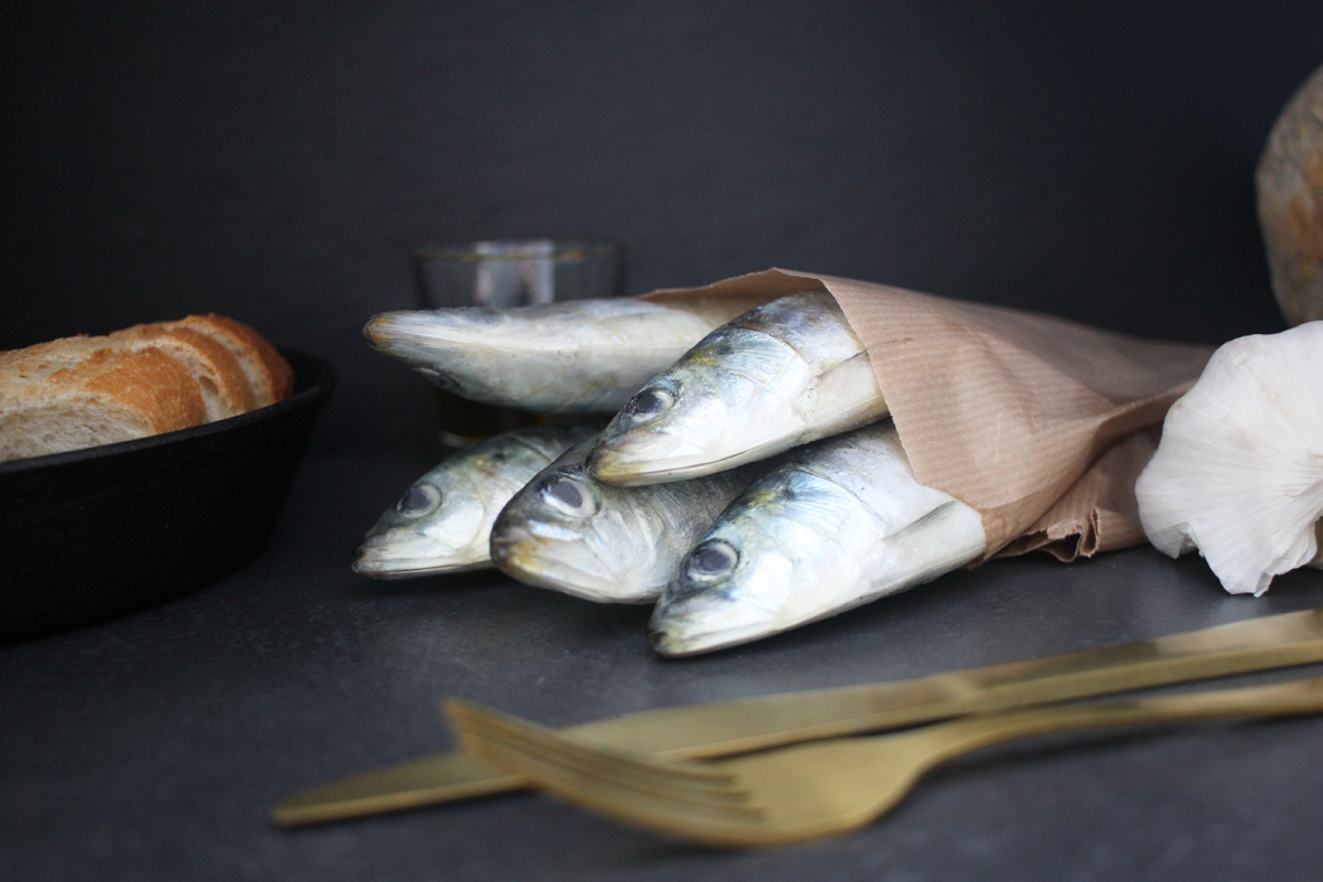 Sardinen online kaufen | Sardinas de Galicia bestellen