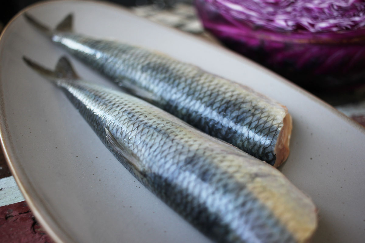 Frischen Hering online kaufen Frisch gefangen