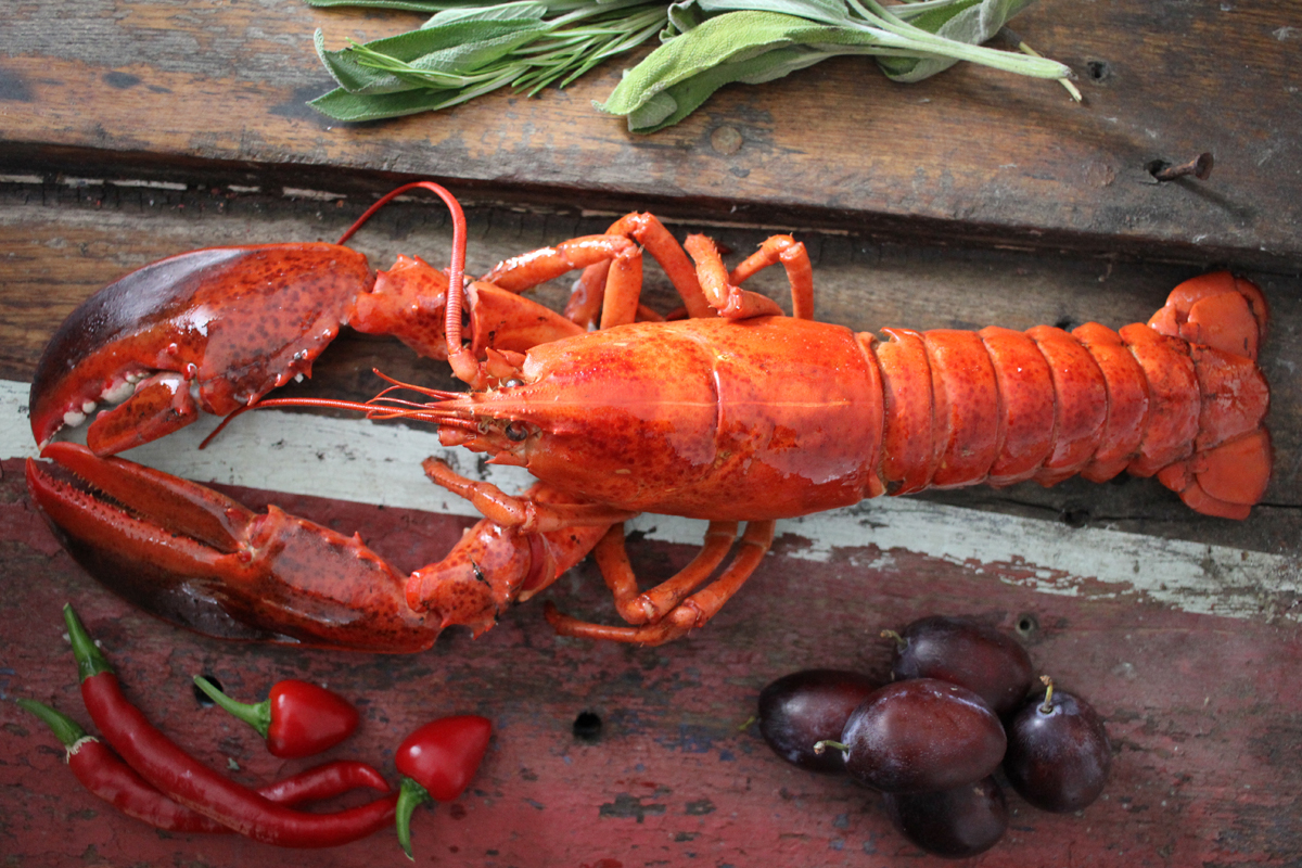 hummer-online-kaufen-jetzt-bei-send-a-fish-bestellen