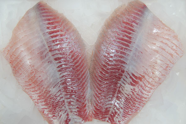 Karpfenfilet frisch OHNE Haut Karpfenfilet frisch OHNE Haut